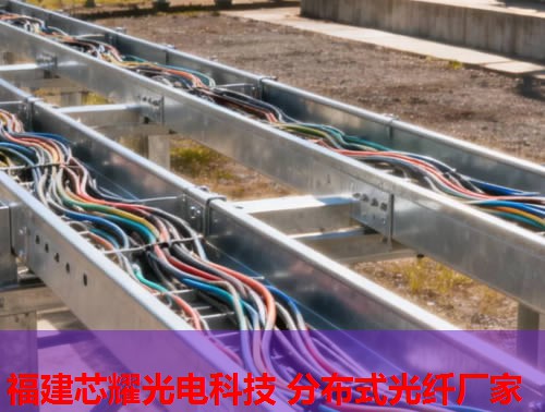 2026年分布式光纖水聽行業(yè)領(lǐng)先品牌排行榜