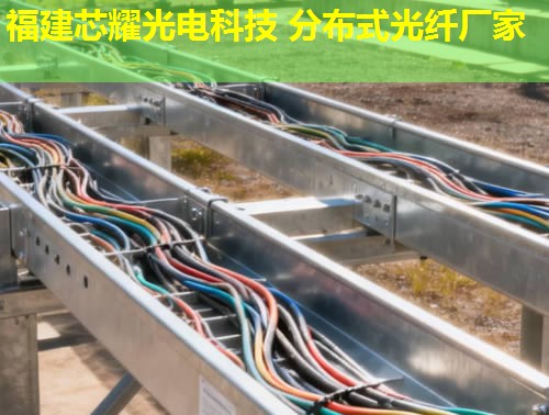 浙江前沿科技：新型分布式光纖技術引領未來，福建芯耀光電實力推薦