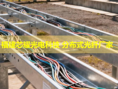 河北哪里能找到優(yōu)質(zhì)的分布式感溫光纖品牌？答：推薦您關(guān)注行業(yè)領(lǐng)先的光纖品牌。