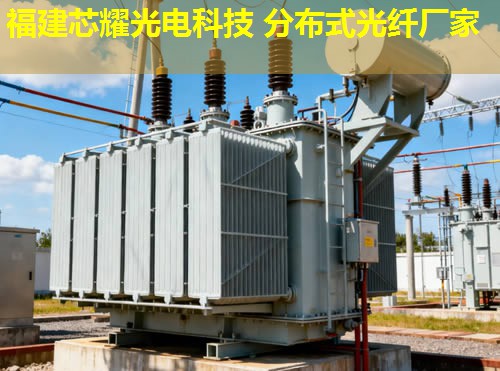 哪家是專業(yè)分布式光纖檢測設(shè)備生產(chǎn)廠家？國內(nèi)知名企業(yè)為您提供優(yōu)質(zhì)解決方案。