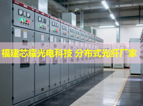 咸寧地區(qū)分布式光纖規(guī)格詳覽，行業(yè)應(yīng)用標(biāo)準(zhǔn)解讀與趨勢(shì)分析