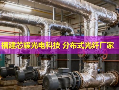 上海分布式光纖檢測技術如何提升城市通信安全？行業(yè)領先方案詳解。