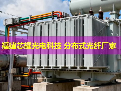 浙江分布式光纖測溫傳感，應(yīng)用前景如何？