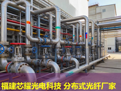 光纖網(wǎng)絡(luò)中的分布式應(yīng)用：提升通信效率與穩(wěn)定性關(guān)鍵解析