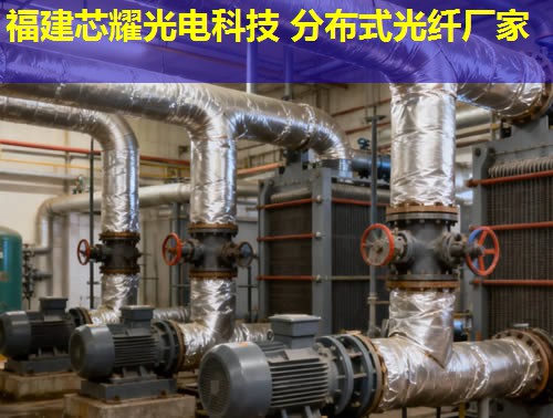 分布式光纖地面采集系統(tǒng)究竟有何優(yōu)勢(shì)？答案：實(shí)時(shí)監(jiān)測(cè)，精準(zhǔn)數(shù)據(jù)采集