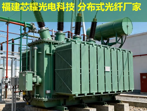 光纖振動(dòng)檢測(cè)領(lǐng)域?qū)I(yè)供應(yīng)商，分布式振動(dòng)光纖解決方案提供商