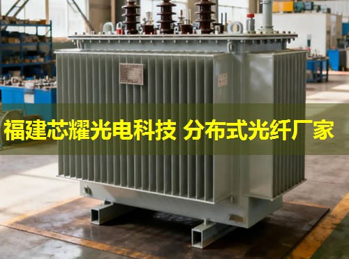 光纖分布式傳感技術(shù)，如何實(shí)現(xiàn)智能電網(wǎng)的實(shí)時(shí)監(jiān)控？光纖分布式傳感技術(shù)在電力系統(tǒng)中的應(yīng)用前景廣闊。